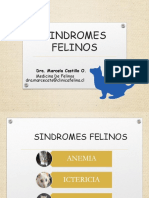 Sindromes Felinos - Anemia