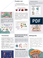 Biomoléculas en Mi Plato - 20230901 - 090347 - 0000