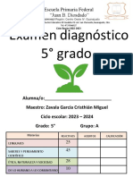 Diagnóstico 5° Grado Por Campos Formativos