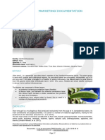 Marketing Documentation - Aloe Vera