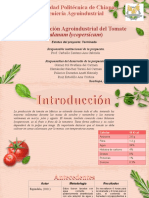 Dehidratación de Tomate