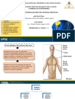Generalidades Del Sistema Nervioso