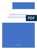 Importancia de La Esterilización Canina