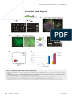 2019 Howden EMBO Rep - Expaned Figures