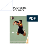 4 El Voleibol