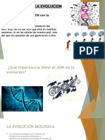 El Adn y La Evolucion