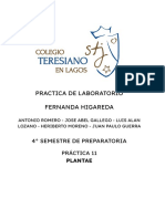 PRACTICA 11 Plantae