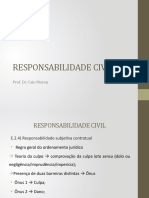 Aula de Responsabilidade Civil