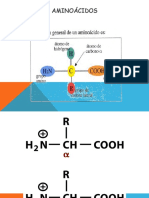 Aminoácidos y Proteínas