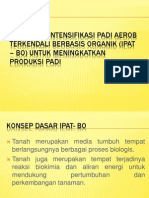 Kuliah TPT IV Ipat - Bo