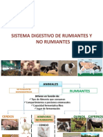 Clase Anatomía Fisiológica Del Sistema Digestivo. 2015.