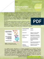 Cytokines - Introduction (Citocinas - Introducción)