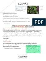 Plantas Medicinales (Biologia)