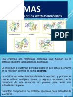 ENZIMAS - Primera Parte Adriana-2s-2023