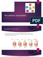 Bases Fisiopatológicas Del Dolor