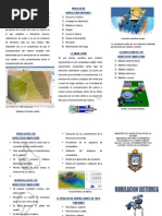 Triptico de Simulacion