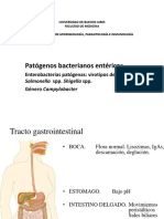 Teórico 12 Bacterias Patógenas Entéricas