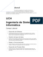 UCH Ingeniería de Sistemas e Informática: Campo Laboral