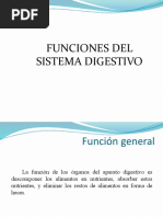 102 Funciones Del Sistema Digestivo