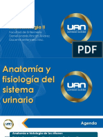 Presentación Fisiologia y Anatomía Sistema Urinario 2021