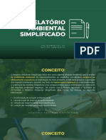 Relatório Ambiental Simplificado (RAS) 20230828 071936 0000