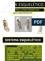 02 - Sistema Esquelético