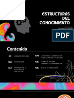 Estructuras Del Conocimiento