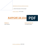 Rapport Samir PDF