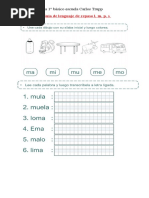 Guía de Lenguaje de Repaso L, M P S