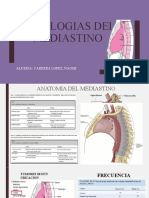 Patologias Del Mediadstino (Recuperado)