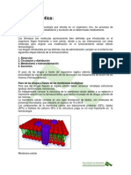 Farmacocinética de Las Drogas Anestésicas