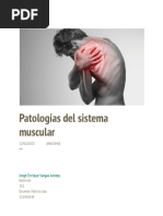 ANATOMIA