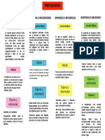 Mapa Conceptual de Los Protozoarios