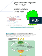 Cours4 Respiration Cellulaire A23