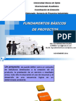 Fundamentos Basicos de Proyectos