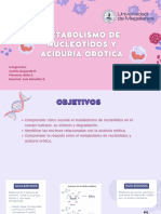 Metabolismo de Nucleótidos y Aciduria Orótica