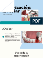 Cicatrización Alveolar