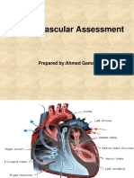 Cardiovascular Assessment-Part 1