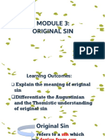 Module 3 Original Sin