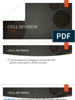 Cell Division