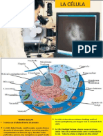 Biología Celular - 4