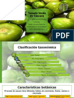 Tomate Verde