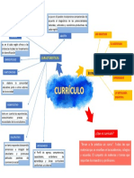 Organizador Curriculo