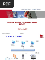 SIM900 Training TCPIP