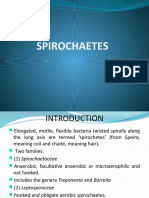 Spirochaetes