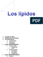 Lípidos