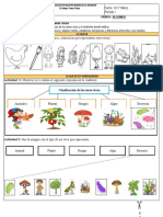 2° Clasificación Seres. Los Animales