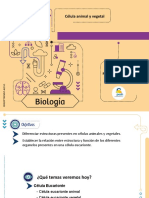 Celula Animal y Vegetal