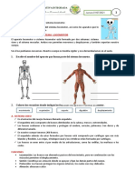 Ficha de Actividades para Toda La Semana 12 Jueves Viernes