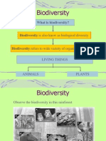 Biodiversity (Folio)